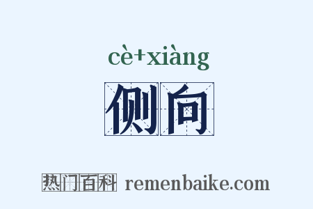 侧向是什么意思的图片